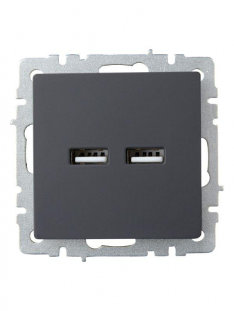 Изображение Розетка BRITE USB A+A 3.1А РЮ10-1-БрГ механизм графит IEK BR-U21-D31-K53