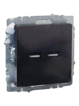 Изображение Розетка BRITE USB A+A 3.1А РЮ10-1-БрЧ механизм черн. IEK BR-U21-D31-K02