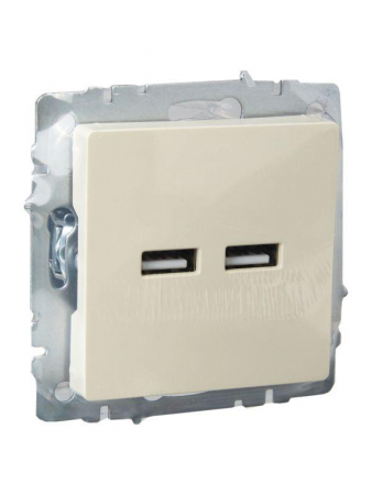 Изображение Розетка BRITE USB A+A 3.1А РЮ10-1-БрКр механизм беж. IEK BR-U21-D31-K10