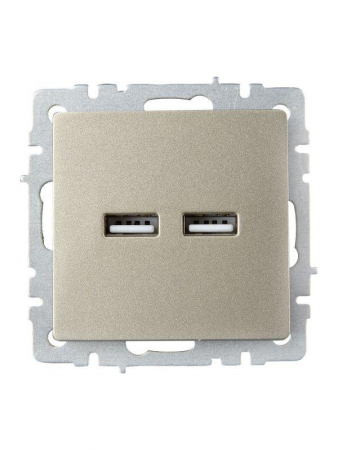 Изображение Розетка BRITE USB A+A 3.1А РЮ10-1-БрШ механизм шампань IEK BR-U21-D31-K37